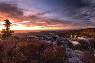 Sunrise in Fall III by Andy Amos canvas print