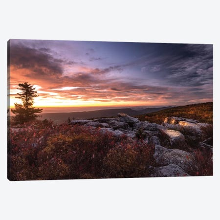 Sunrise in Fall III Canvas Print #AAS20} by Andy Amos Canvas Print