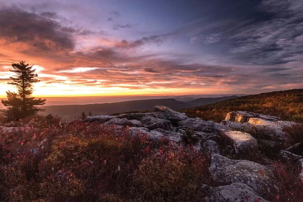 Sunrise in Fall III