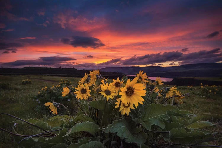 Sunset at the Gorge