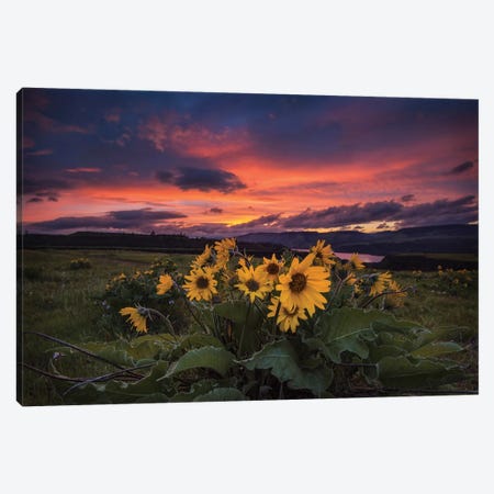 Sunset at the Gorge Canvas Print #AAS21} by Andy Amos Canvas Art Print