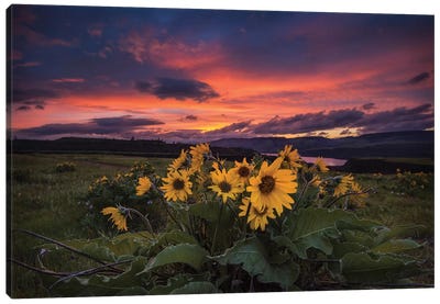 Sunset at the Gorge Canvas Art Print
