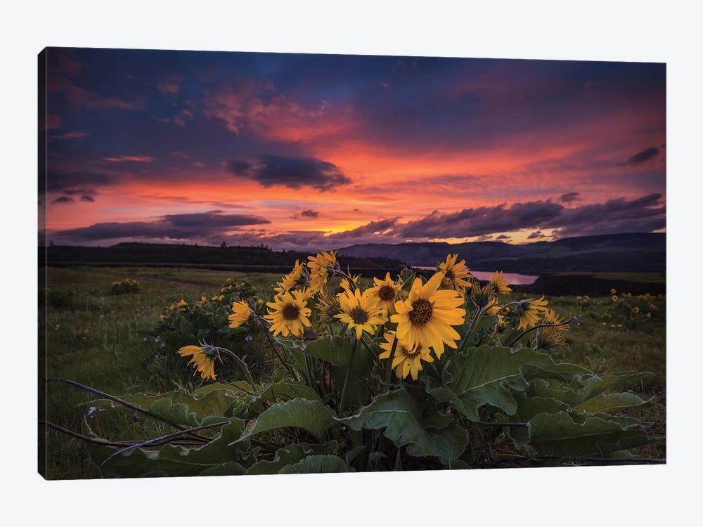 Sunset at the Gorge by Andy Amos 1-piece Canvas Art