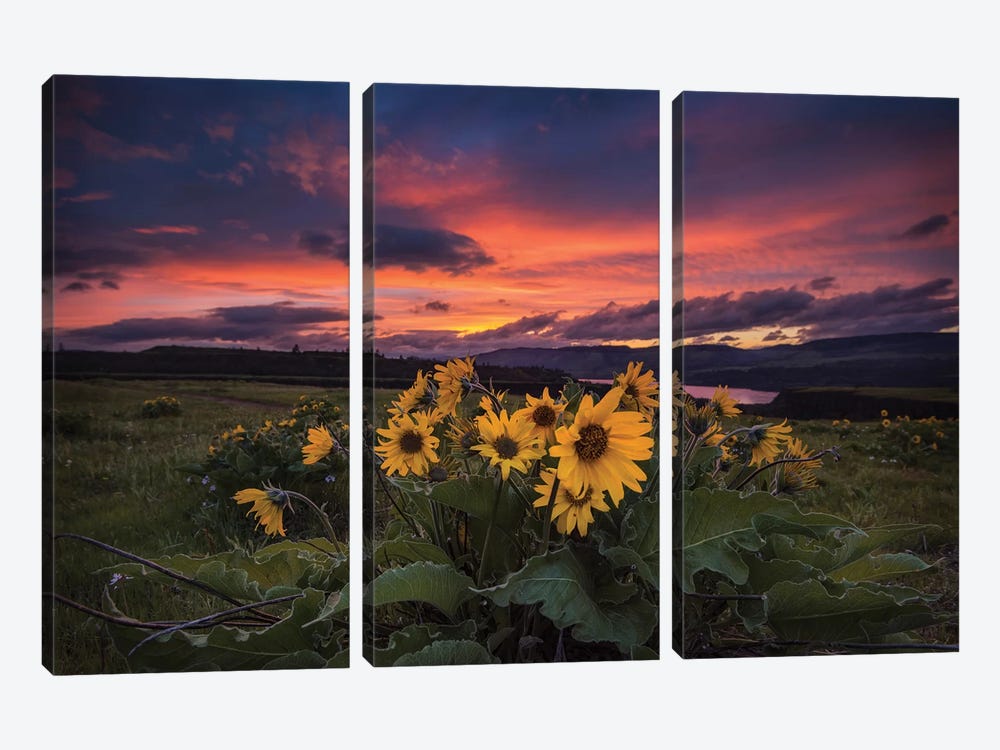 Sunset at the Gorge by Andy Amos 3-piece Canvas Wall Art