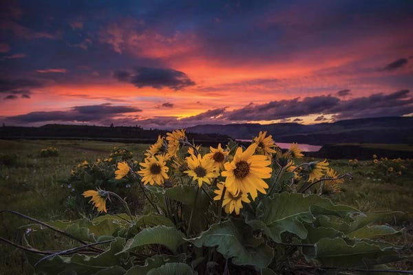 Sunset at the Gorge