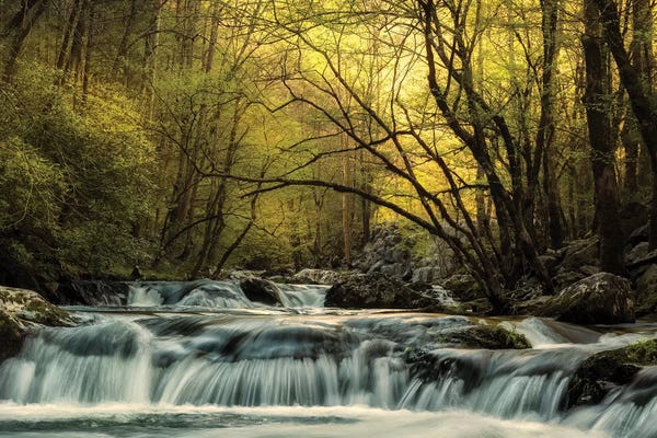 Waterfalls: Tremont at Sunrise by Andy Amos