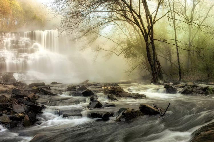 Waterfall Creek by Andy Amos wall art