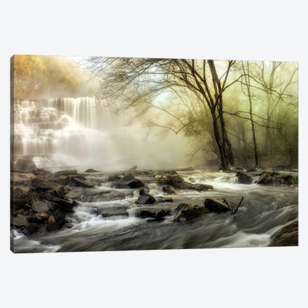 Waterfall Creek Canvas Print #AAS24} by Andy Amos Canvas Artwork
