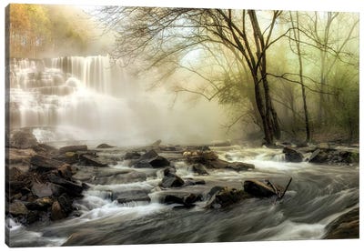 Waterfall Creek Canvas Art Print