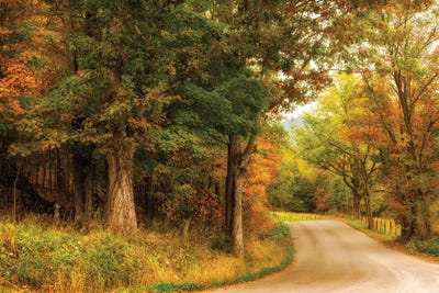 Autumn's First Day by Andy Amos canvas print