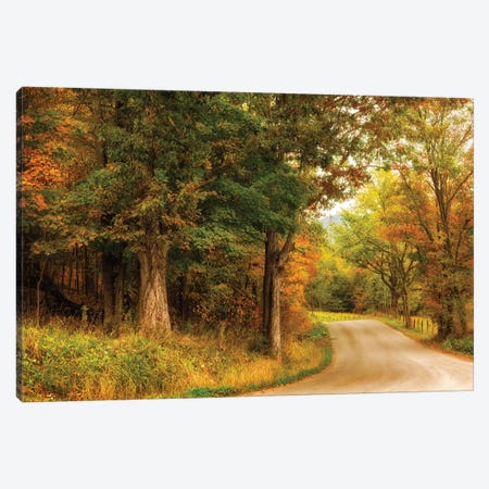 Autumn's First Day Canvas Print #AAS27} by Andy Amos Canvas Wall Art