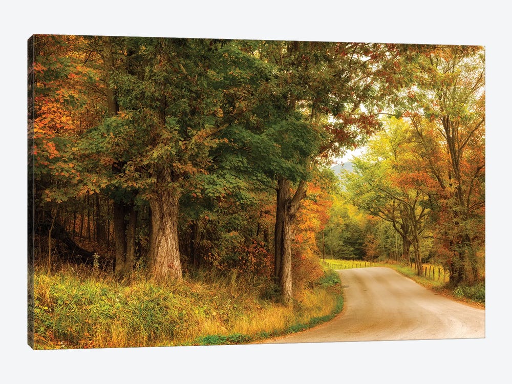 Autumn's First Day by Andy Amos 1-piece Canvas Wall Art