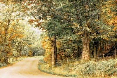 Crisp Season by Andy Amos canvas print