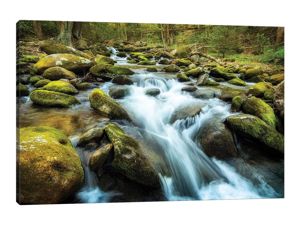 Framed Canvas Art - Moss Rocks by Andy Amos ( scenic & landscapes > Urban > Urban rivers, Lakes & waterfronts art) - 18x26 in