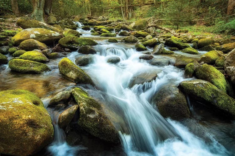 Moss Rocks