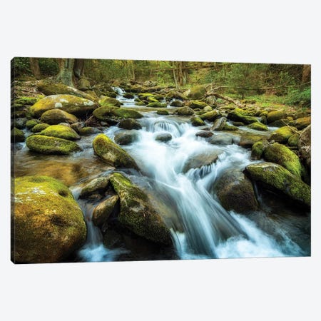 Moss Rocks Canvas Print #AAS30} by Andy Amos Canvas Artwork