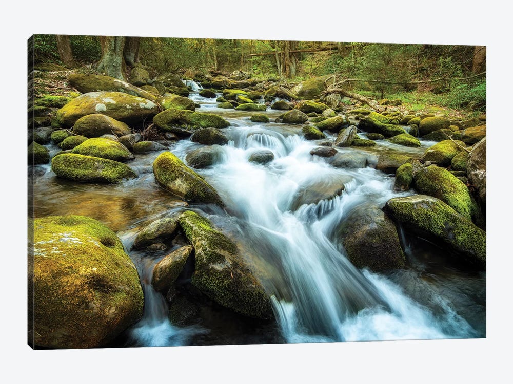 Moss Rocks by Andy Amos 1-piece Canvas Artwork