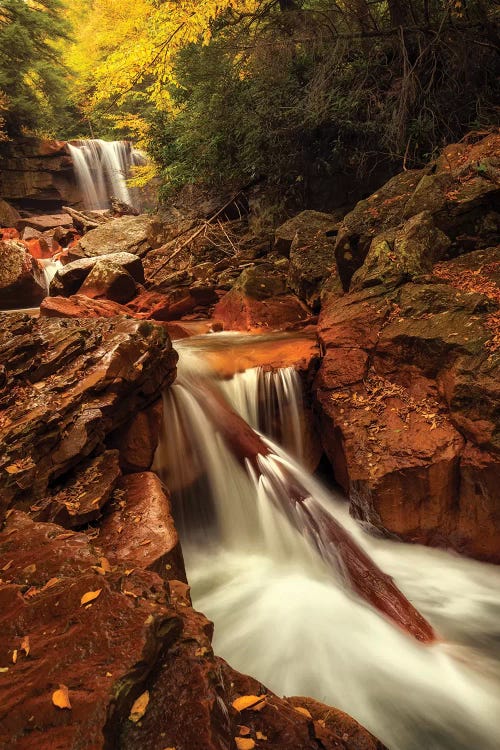 Natures Path