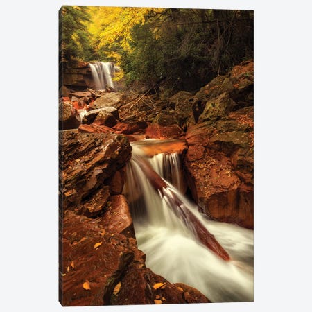 Natures Path Canvas Print #AAS31} by Andy Amos Canvas Art