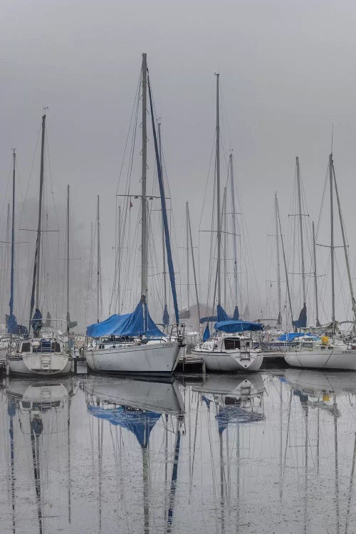 Sailing Boats