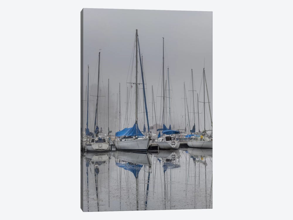 Sailing Boats by Andy Amos 1-piece Canvas Art