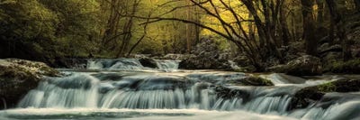 Tremont At Sunrise II by Andy Amos canvas print