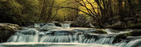 Tremont At Sunrise II