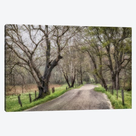 Late Afternoon Walk Canvas Print #AAS39} by Andy Amos Canvas Art