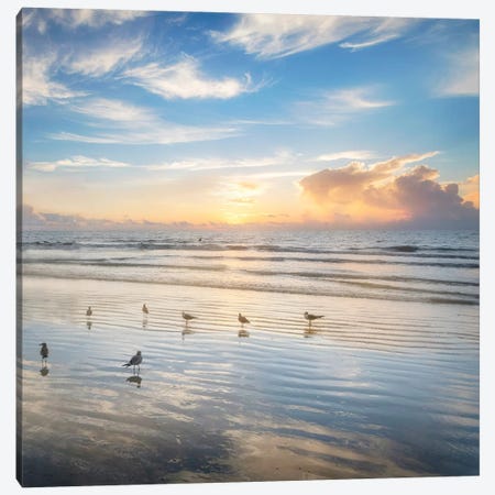 Morning Beauty Canvas Print #AAS42} by Andy Amos Canvas Print