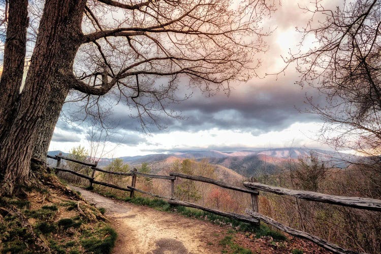 Mountain Walks