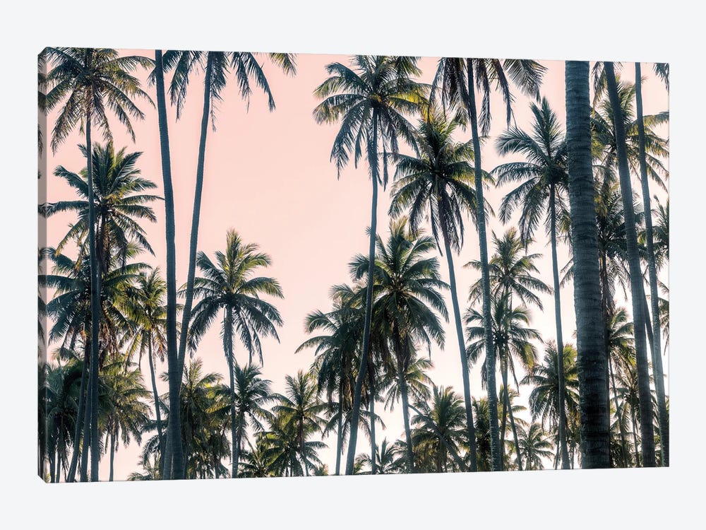 Palms View on Pink Sky II by Andy Amos 1-piece Canvas Wall Art
