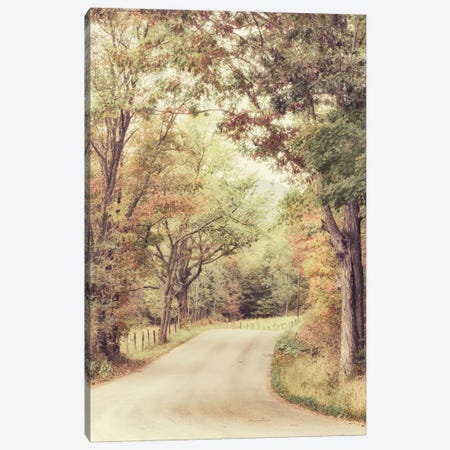 Along The Path Canvas Print #AAS50} by Andy Amos Canvas Artwork