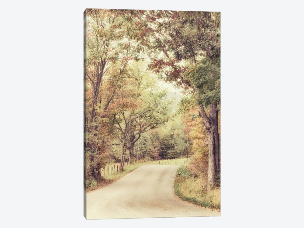 Along The Path by Andy Amos 1-piece Canvas Artwork