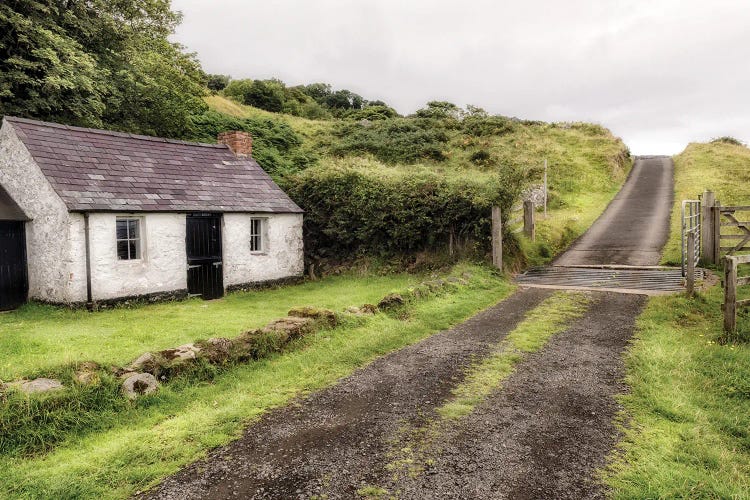 Countryside by Andy Amos wall art