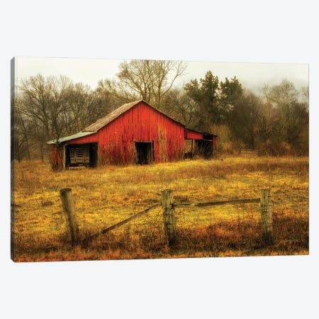 In the Country Canvas Print #AAS66} by Andy Amos Canvas Art