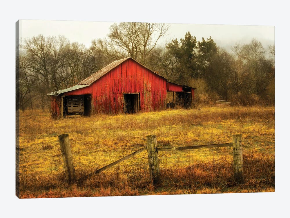 In the Country by Andy Amos 1-piece Art Print