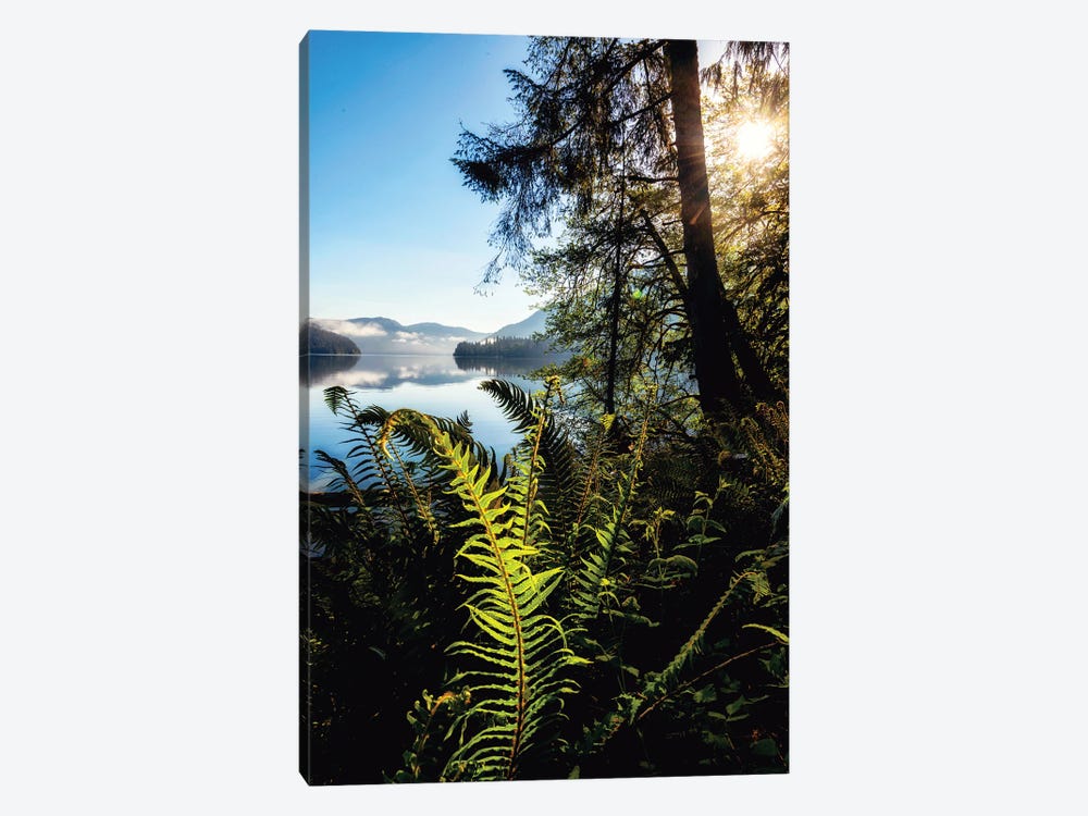Lake Side View by Andy Amos 1-piece Canvas Art Print