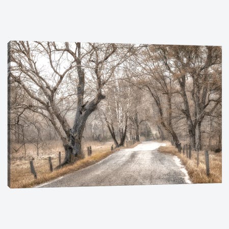 Late Afternoon Walk Canvas Print #AAS69} by Andy Amos Art Print