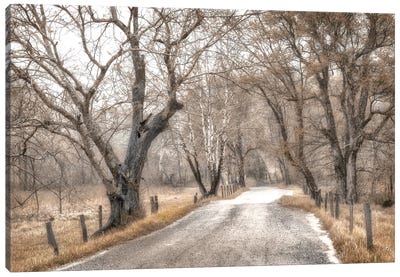 Late Afternoon Walk Canvas Art Print - Trail, Path & Road Art