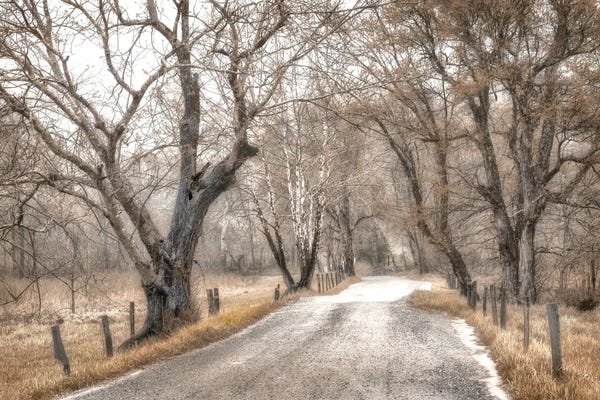 Large Photography - Canvas Prints: Late Afternoon Walk Winter by Andy Amos