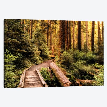 Nature Hiking Trail Canvas Print #AAS73} by Andy Amos Canvas Art