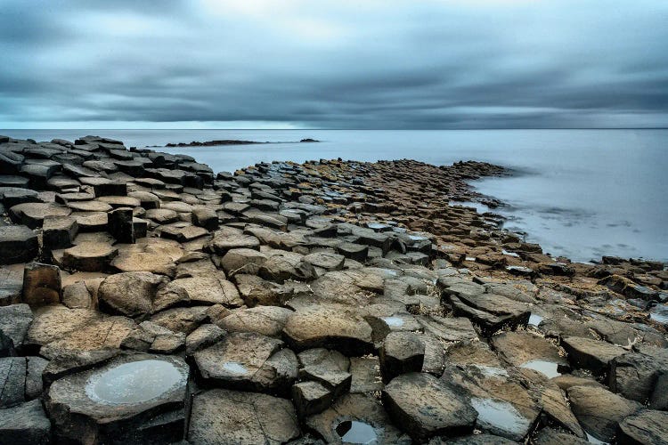 Rocky Shores