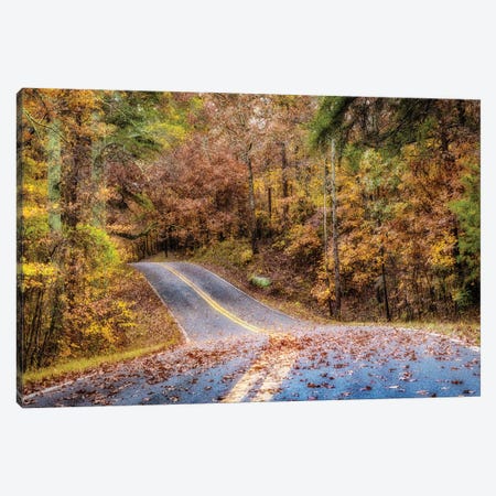 Woodland Road II Canvas Print #AAS79} by Andy Amos Canvas Artwork
