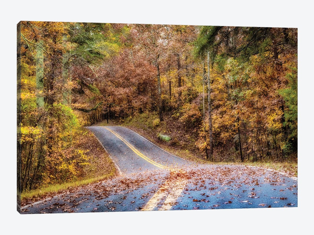 Woodland Road II by Andy Amos 1-piece Art Print