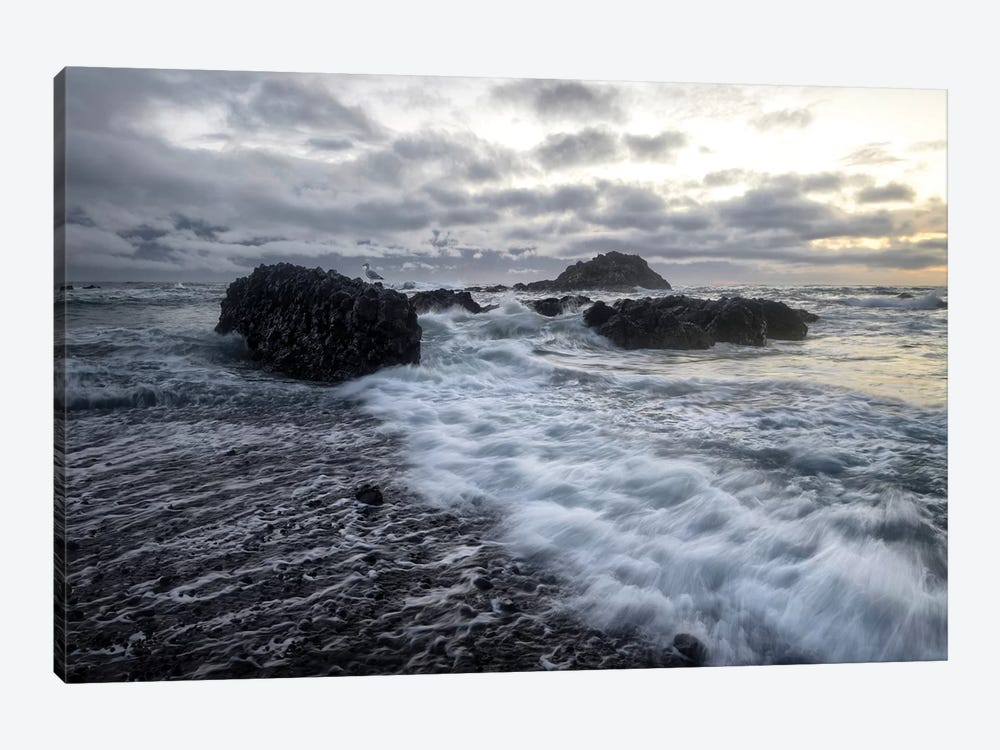High Tide by Andy Amos 1-piece Canvas Print