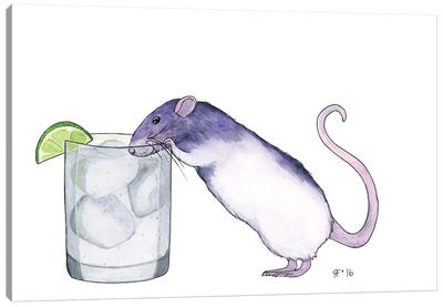 Gin And Tonic Canvas Art Print - Rats