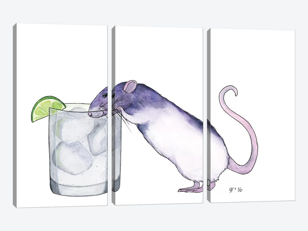 Gin And Tonic by Alasse Art 3-piece Canvas Artwork