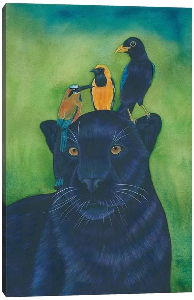 Jaguar Canvas Art Print - Alasse Art