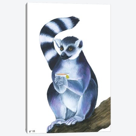 Lemur II Canvas Print #AAT24} by Alasse Art Art Print