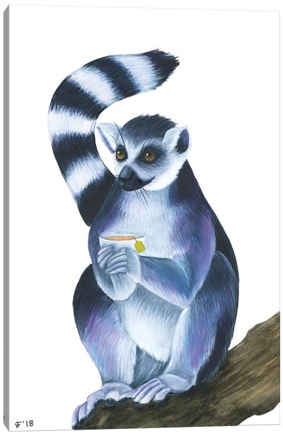 Lemur II Canvas Art Print - Alasse Art